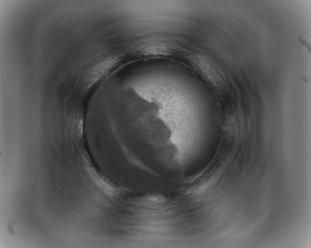 X0000097760402200803141727