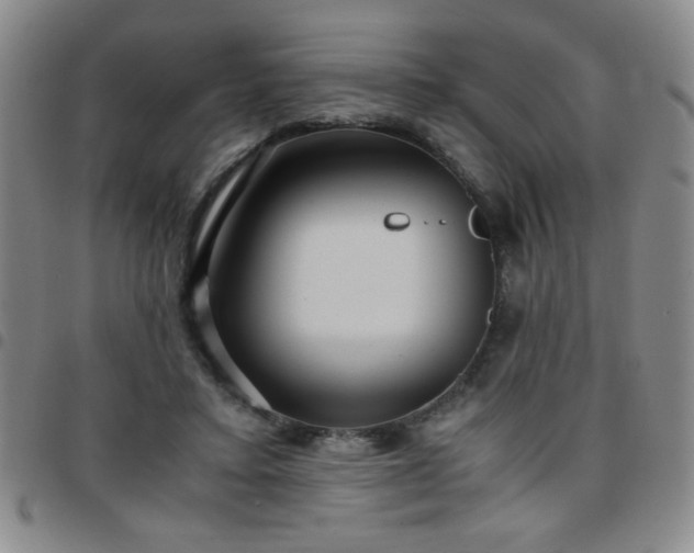 X0000097760403200803141727