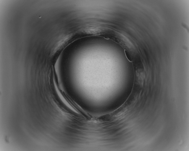 X0000097760404200803141727