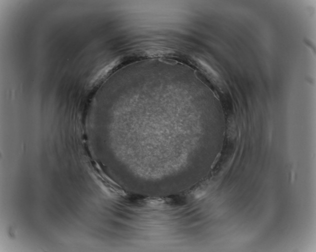 X0000097760405200803141727