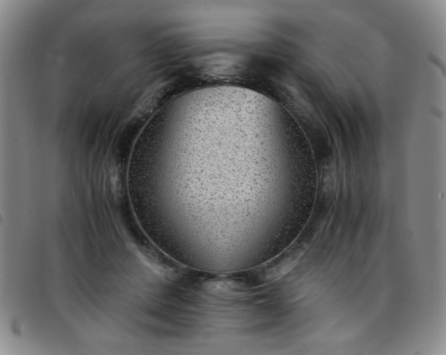 X0000097760408200803141727