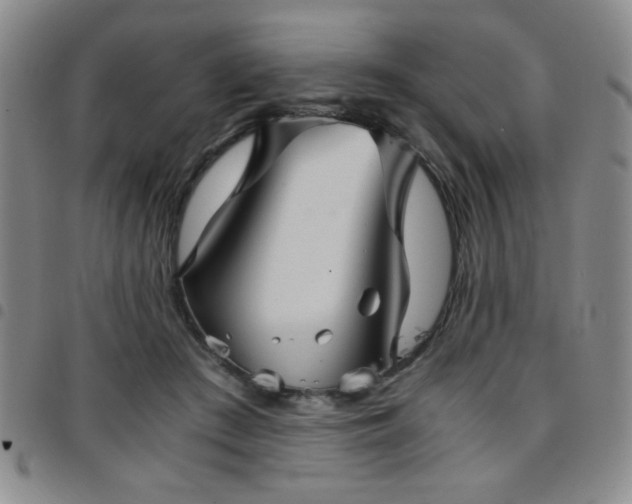 X0000097760409200803141727