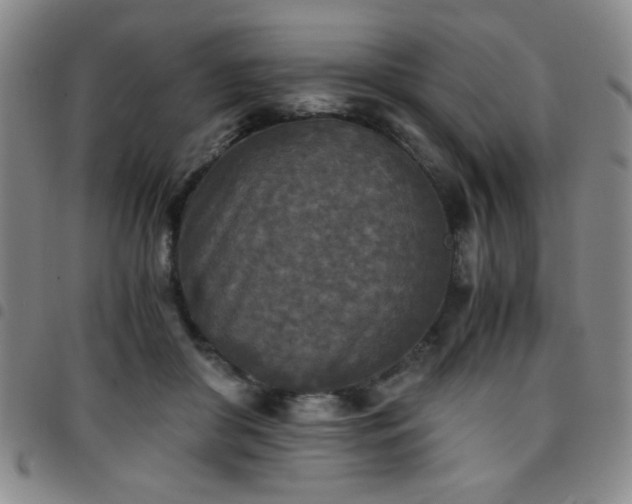 X0000097760410200803141727