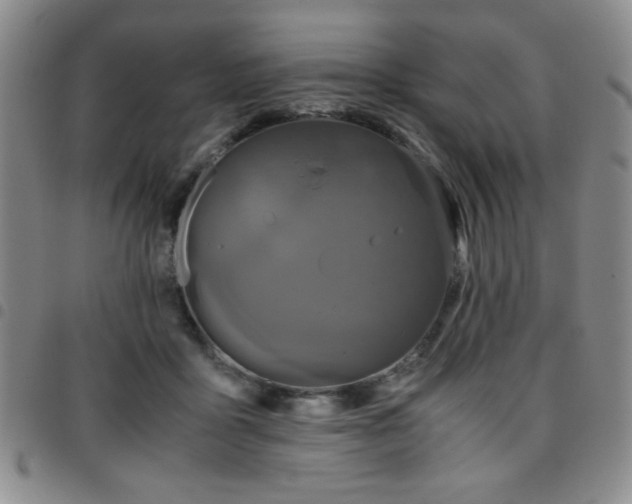 X0000097760411200803141727