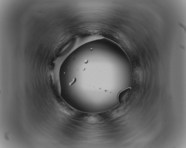 X0000097760412200803141727