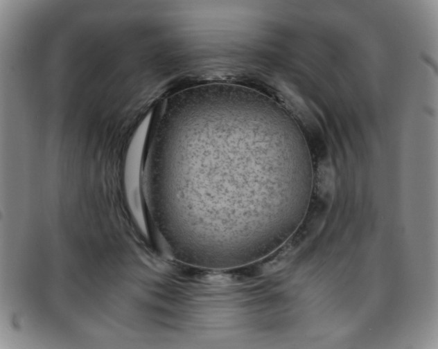 X0000097760413200803141727