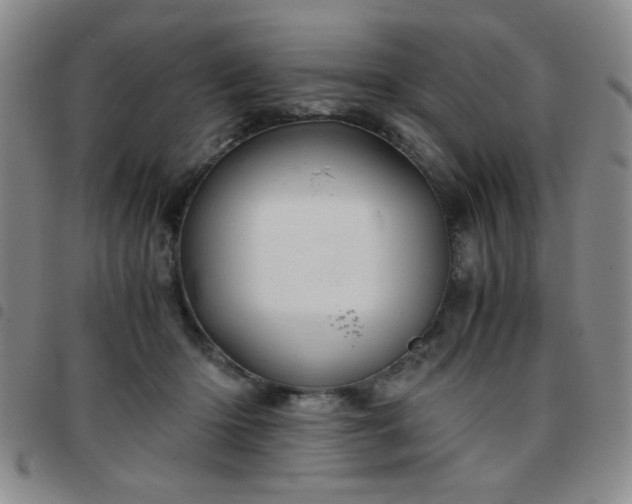 X0000097760414200803141727