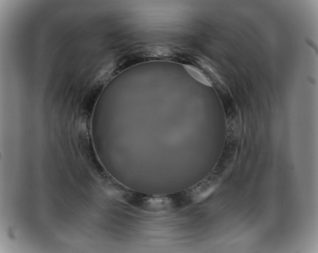 X0000097760415200803141727