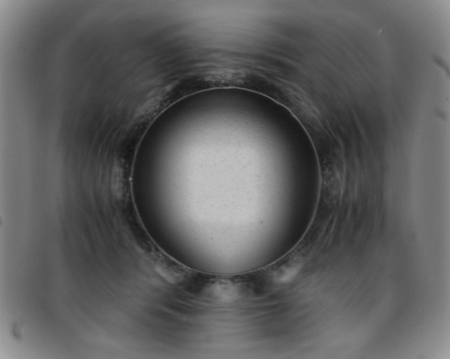 X0000097760416200803141727