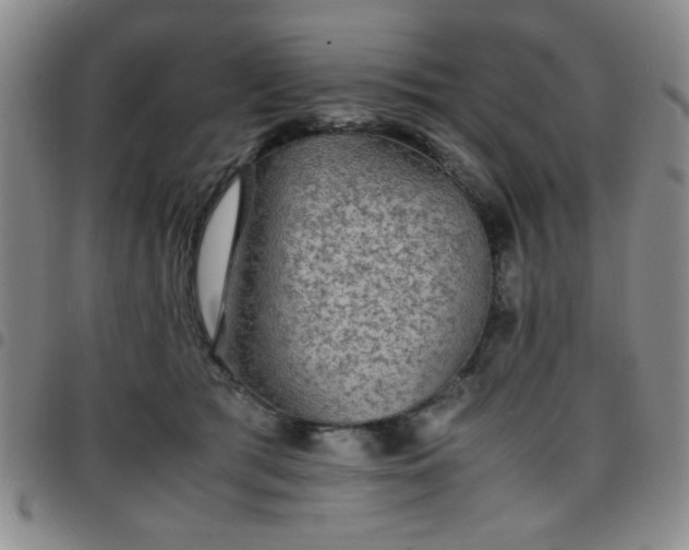 X0000097760417200803141727