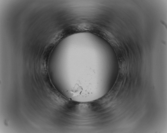 X0000097760418200803141727