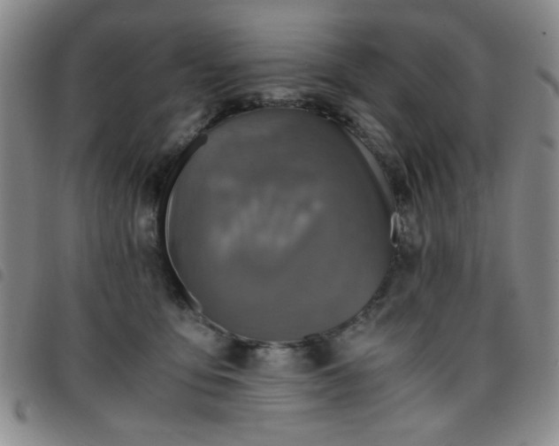 X0000097760419200803141727