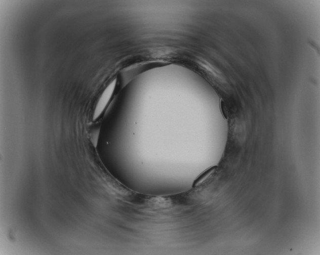 X0000097760421200803141727