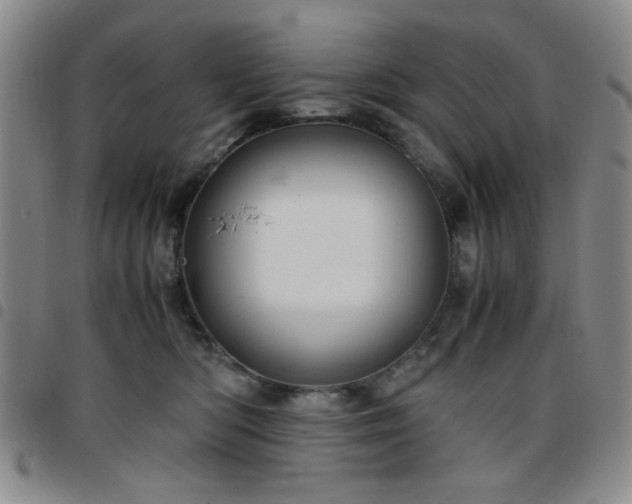 X0000097760422200803141727