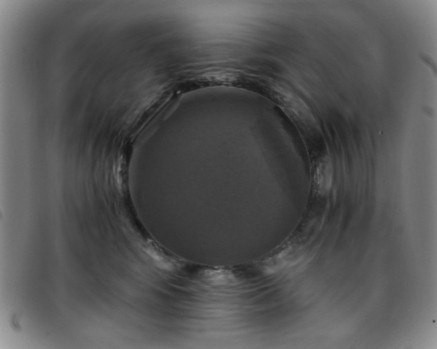 X0000097760424200803141727