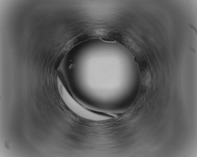 X0000097760425200803141727