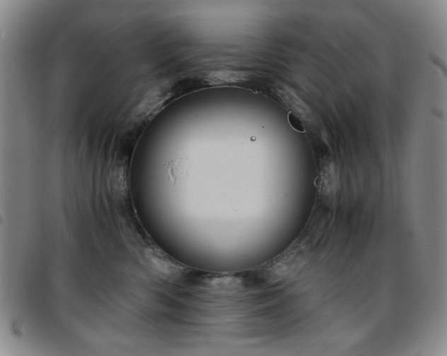 X0000097760426200803141727