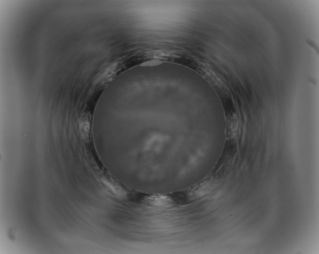 X0000097760427200803141727