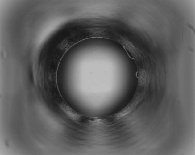 X0000097760430200803141727