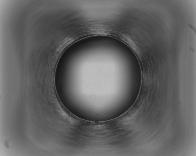 X0000097760433200803141726