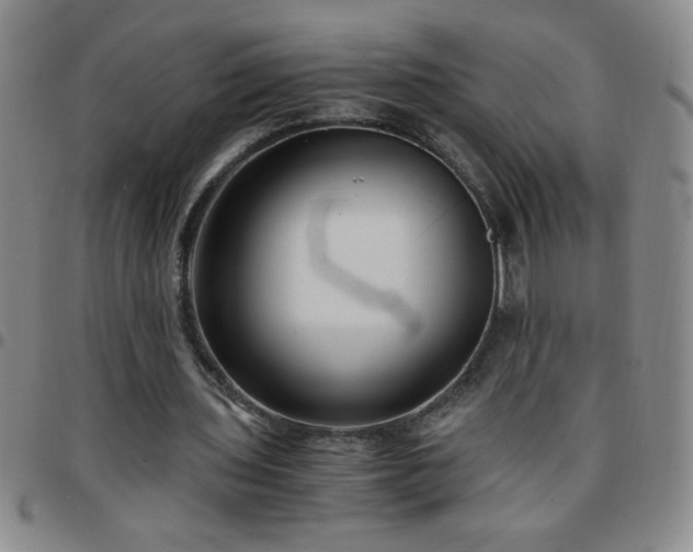 X0000097760435200803141726