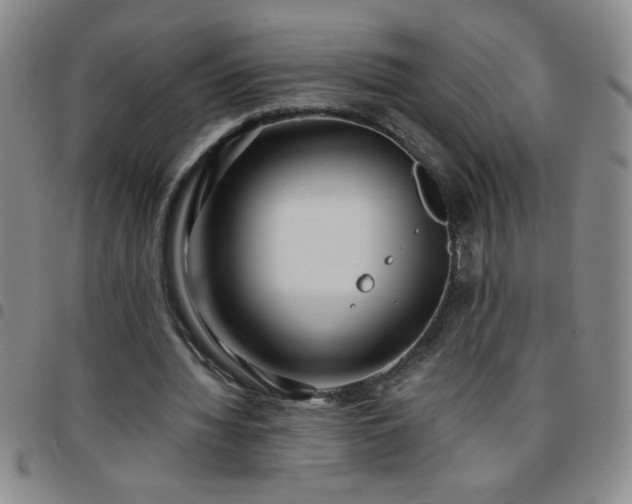 X0000097760436200803141726