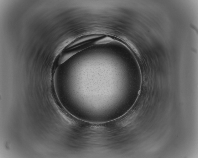 X0000097760437200803141726