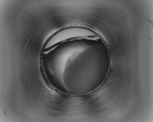 X0000097760438200803141726