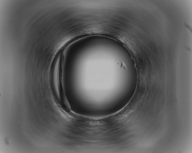 X0000097760439200803141726