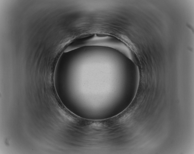 X0000097760441200803141726