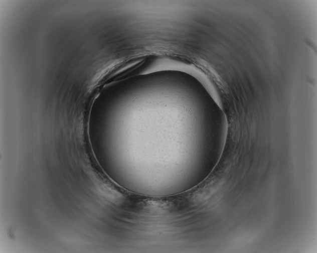 X0000097760442200803141726