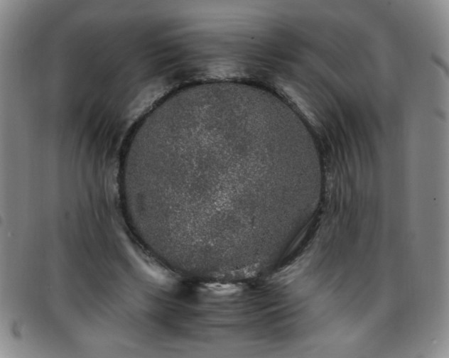 X0000097760443200803141726