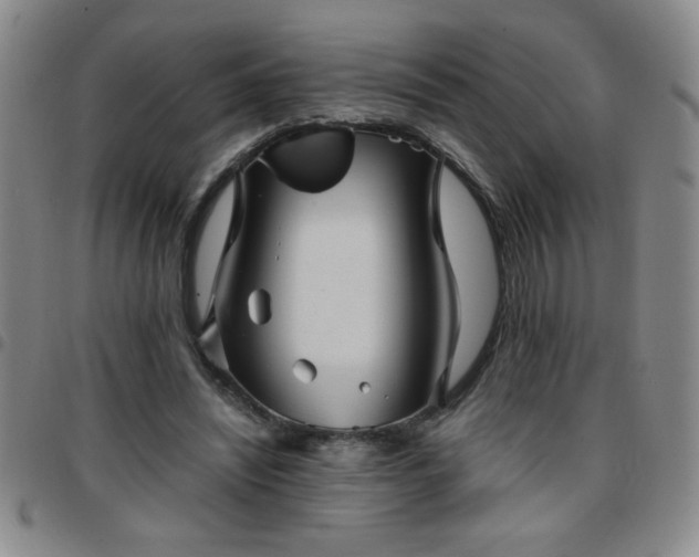 X0000097760444200803141726