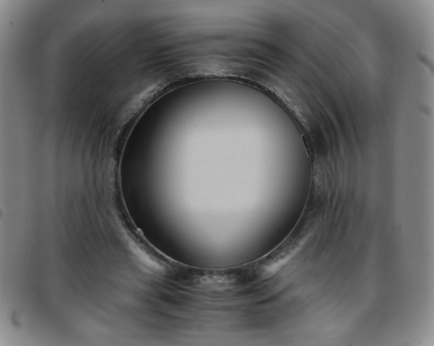 X0000097760445200803141726