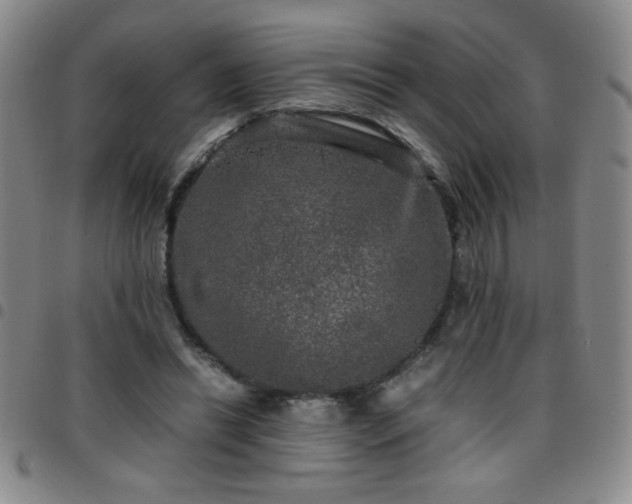 X0000097760446200803141726