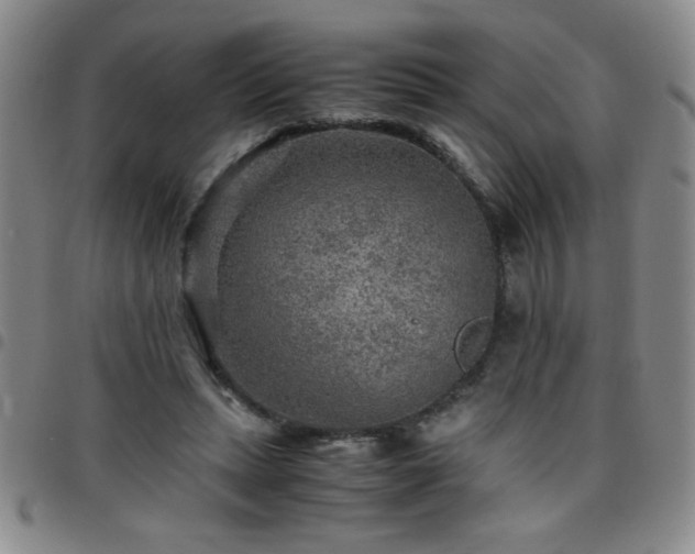 X0000097760447200803141726