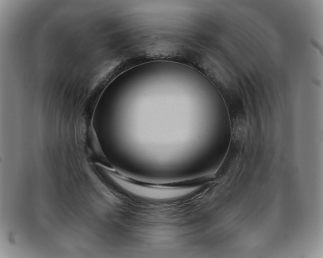 X0000097760448200803141726