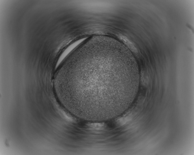 X0000097760449200803141726