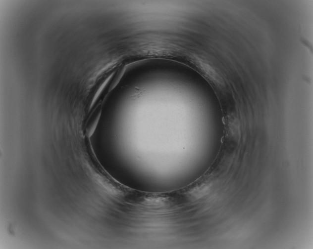 X0000097760450200803141726