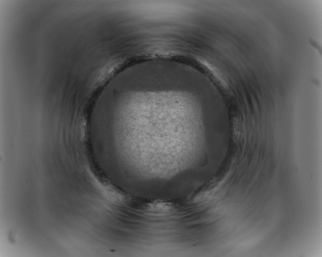 X0000097760451200803141727