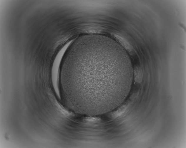 X0000097760453200803141727