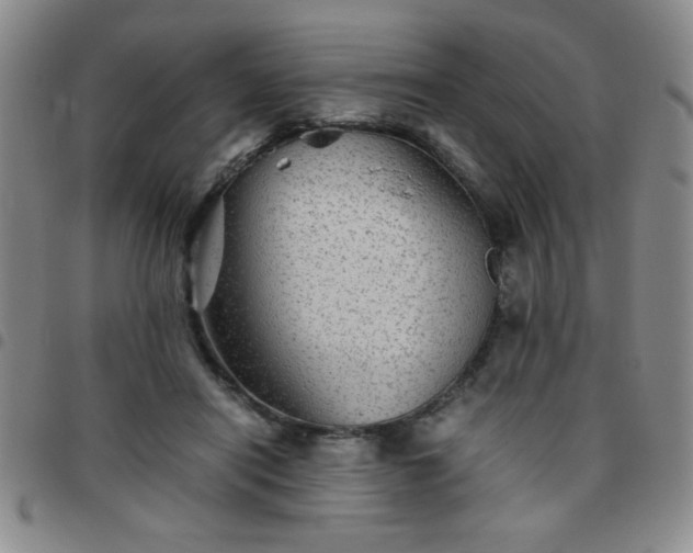 X0000097760454200803141727