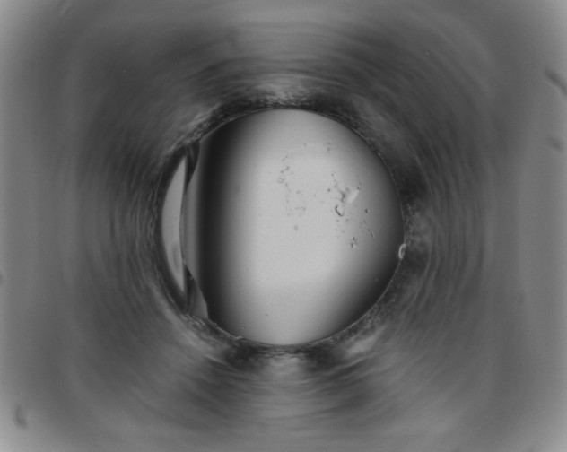 X0000097760456200803141727