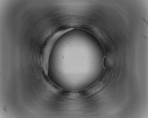 X0000097760458200803141727