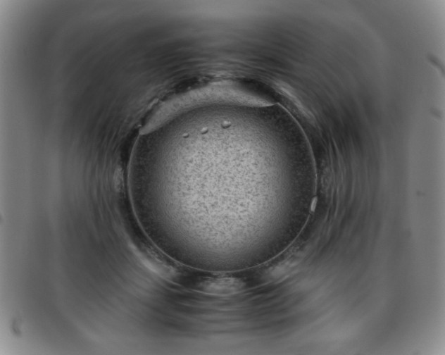 X0000097760459200803141727