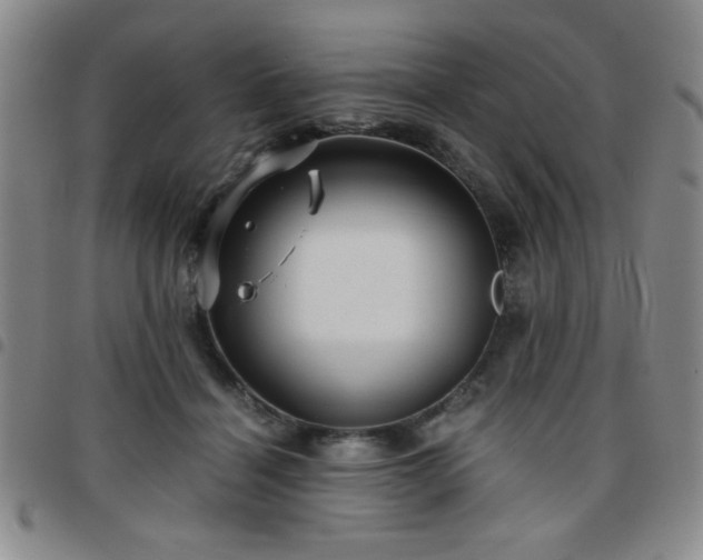 X0000097760460200803141727