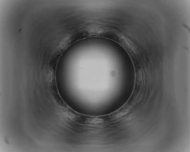 X0000097760463200803141727