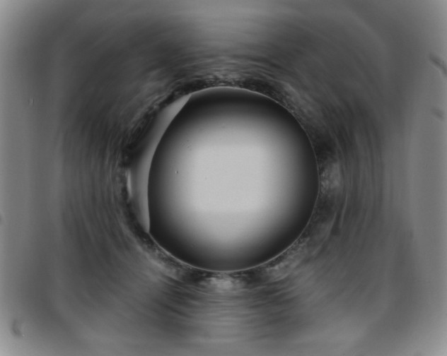 X0000097760464200803141727