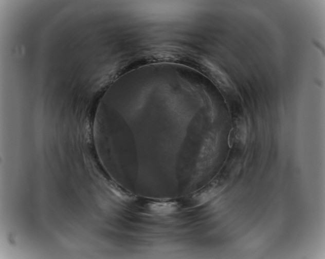 X0000097760465200803141727