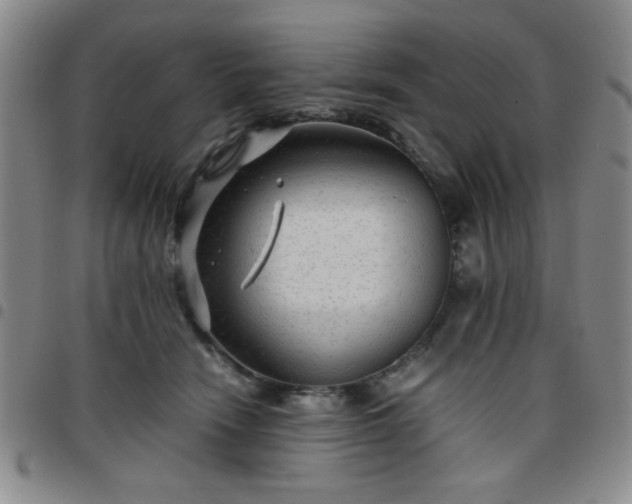 X0000097760466200803141727